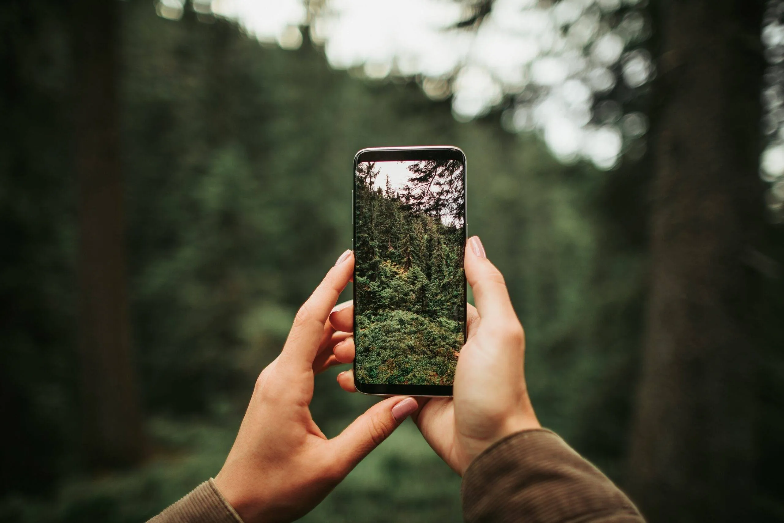 Naturaufnahme mit einer Smartphonekamera